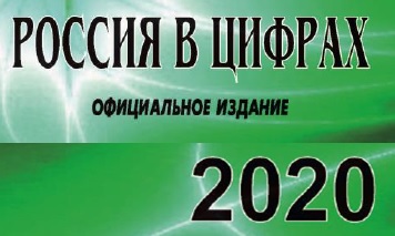 Россия в 2020г